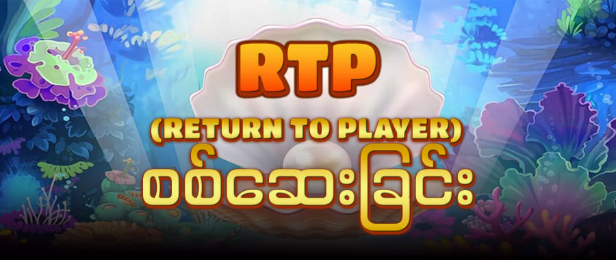 RPT စစ်ဆေးခြင်း